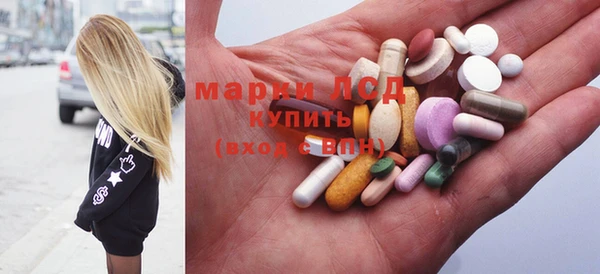 стафф Новозыбков