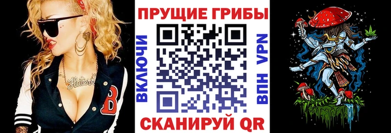 Галлюциногенные грибы GOLDEN TEACHER  купить закладку  Белый 